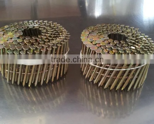 Supply Coil Nails/coil Framing Nails photo-3
