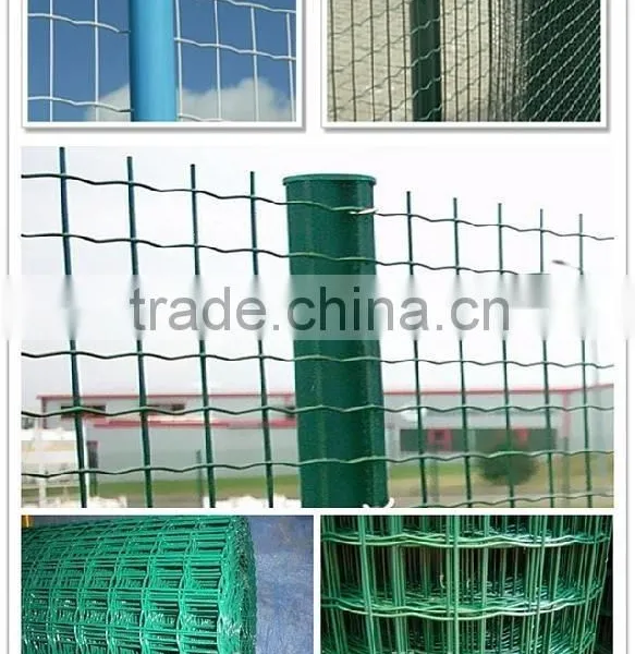 PVC Coated Euro Fence Manufacturer photo-3