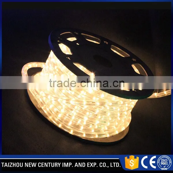 Remote Control RoHS Led Horizontal Rope Light photo-4