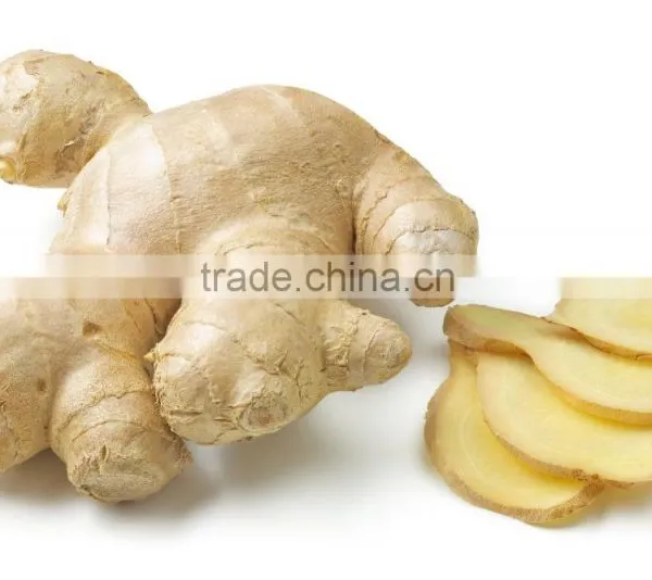 Chinese Fresh Ginger for Sale photo-4