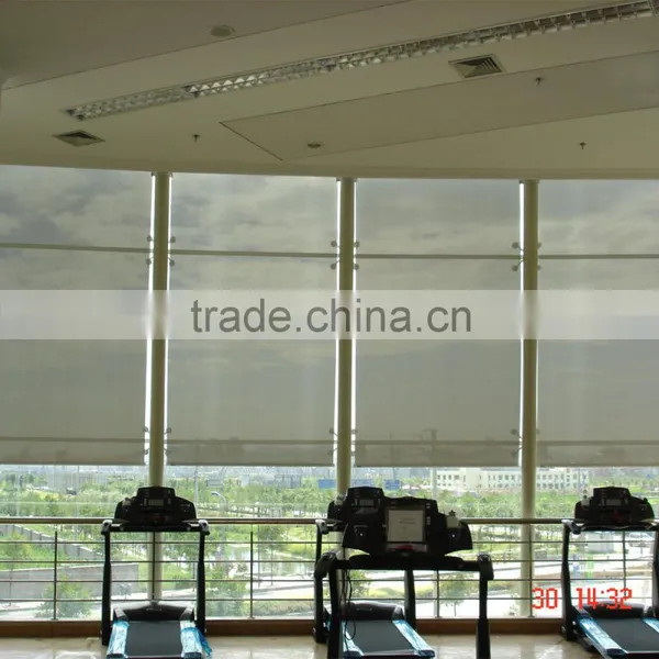 Skylight Motorized Shades Solarfective Motorized Shades Window Valances photo-5