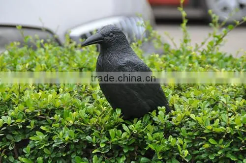 2015 China Singrun New Bird Crow Decoys for Garden Hunting photo-2
