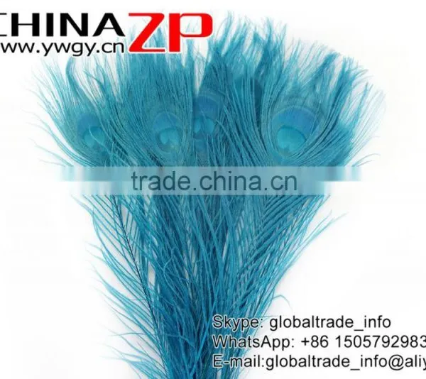 CHINAZP Leading Supplier Wholesale Cheap Full Eye Dyed Turquoise Blue Peacock Tail Feathers for Sale photo-2