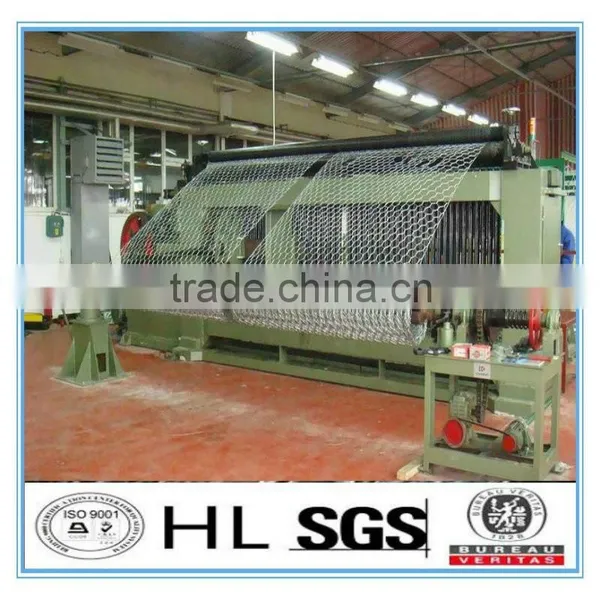 China Cheap Stainless Steel Hexagonal Wire Netting/ Fence Netting/ Woven Mesh/ Animal Catching Nets photo-3