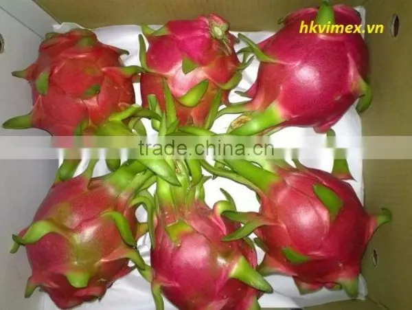 DRAGON FRUIT photo-3