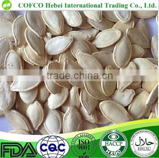 New Crop Shine Skin Pumpkin Seeds