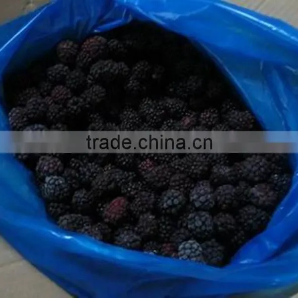 High Quality Frozen IQF Balckberries, photo-2