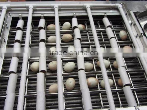 Low Breakage Boiled Egg Peeler Machine photo-4