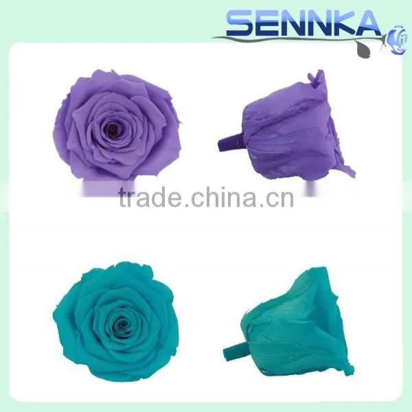 Preserved Fresh Flower Gift, Eternal Rose With Beautiful Box for Friends photo-4