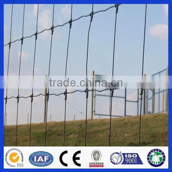 China Hot Sell Grassland Fencing/field Fence,Wovening Wire Netting ,Farm Filed Fence photo-2