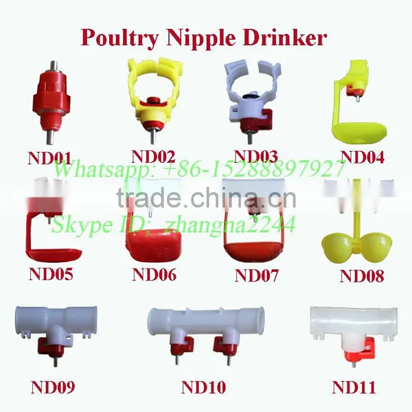 Hot Sale Pigeon Drinker Cattle Drinker