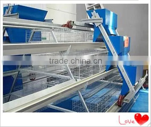 Easy Operate Automatic Feeding Machine for Chicken photo-2