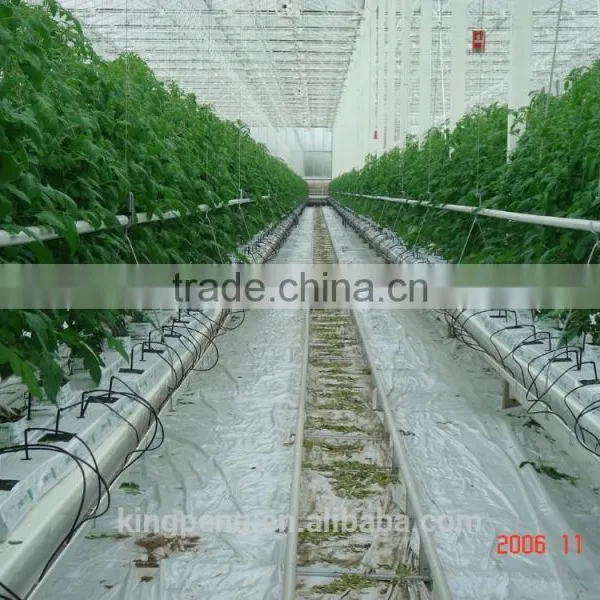 Automatic Dripping Irrigation System for Greenhouse photo-2