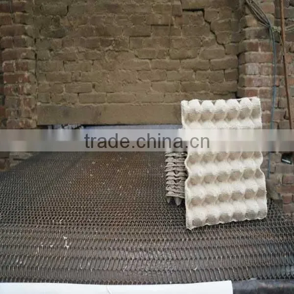 Waterproof Package 30 Pieces Paper Egg Tray photo-3