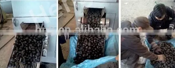 High Quality Coal Ball Press Machine With Competitive Price photo-6