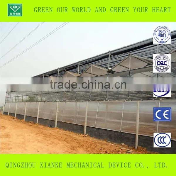 Galvanized Steel Frame 8mm/10mmSingle-span/multi-span Polycarbonate Greenhouse photo-2