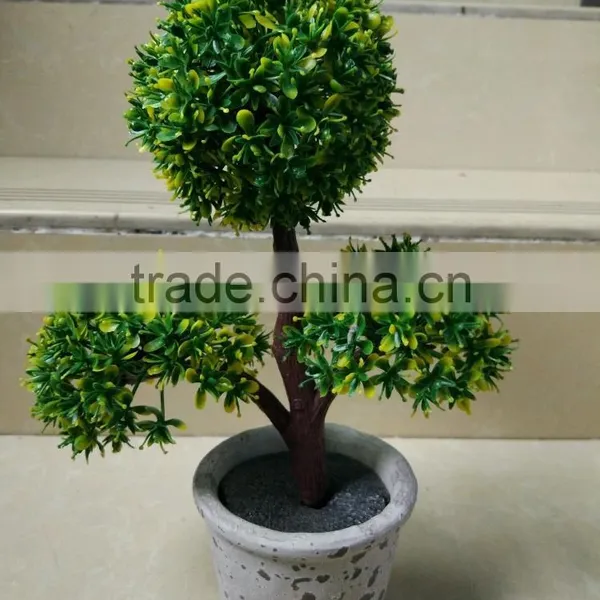 CHY060911 Guangzhou Shengjie High Quality Bonsai for Landscape photo-4