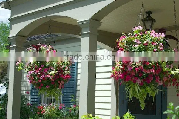 Vertical Garden Hanging Flower Ball Pot for Home Garden Decoration photo-4
