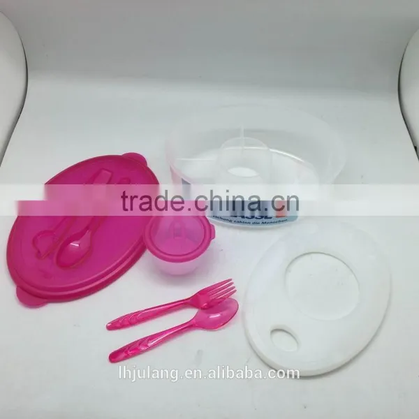 BPA-FREE Plastic Salad Lunch Box Set With Ice Pack/plastic Lunch Box Set photo-2
