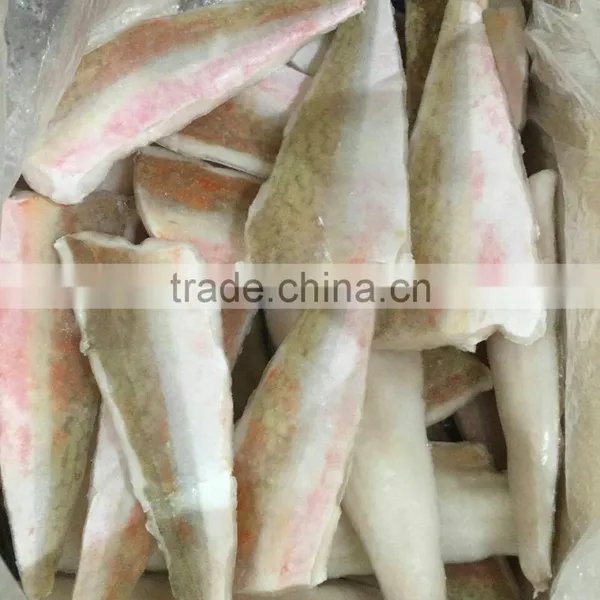 Red Gurnard Fillet photo-4