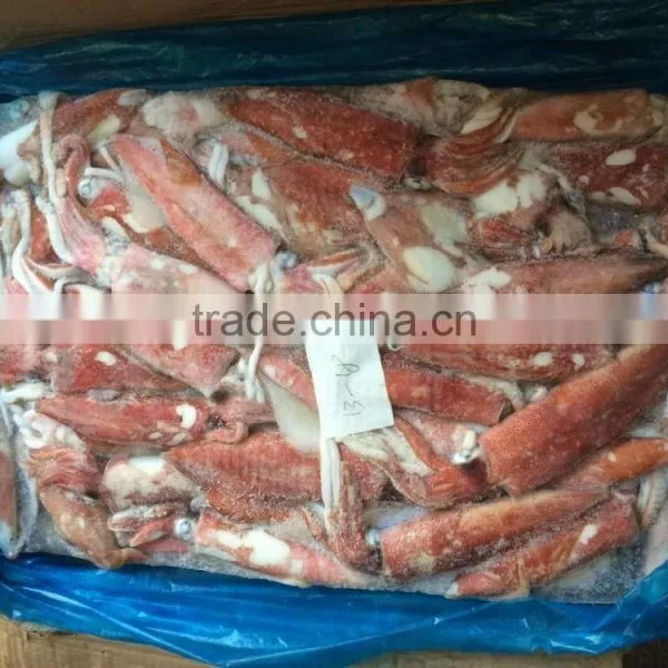 Sea Frozen Loligo Chinensis ,for Italy ,Greece et ,EU Market photo-2