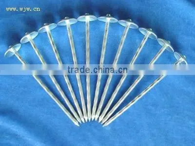 Umbrella Roofing Nails 2.5 photo-4