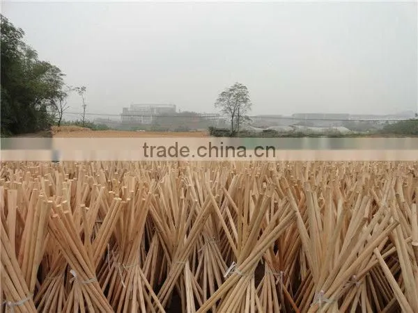 Broom Handle Cap photo-6