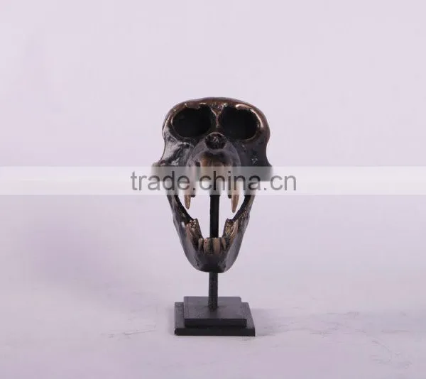 Macaque Skull on Base photo-4
