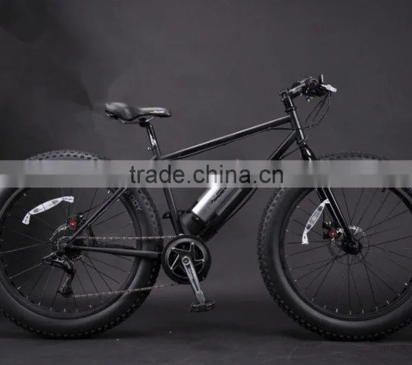 Electric Fat Bike