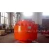 Blowout Preventer Annular BOP