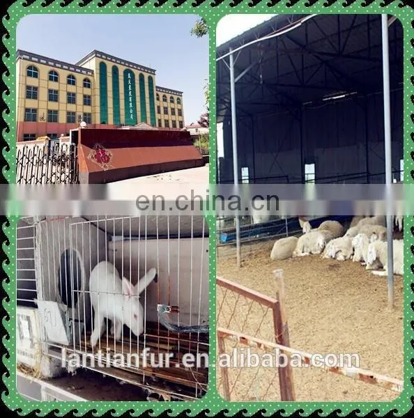 Top Quality Kidassia Goat Fur Plates/Natural Goat Fur Plates photo-6