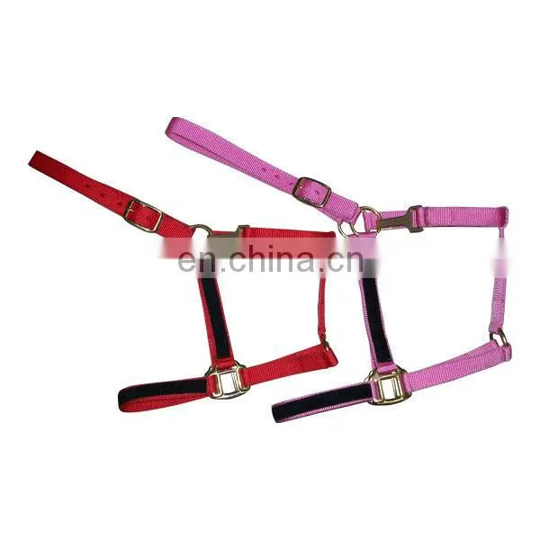 Horse Nylon pp Halter
