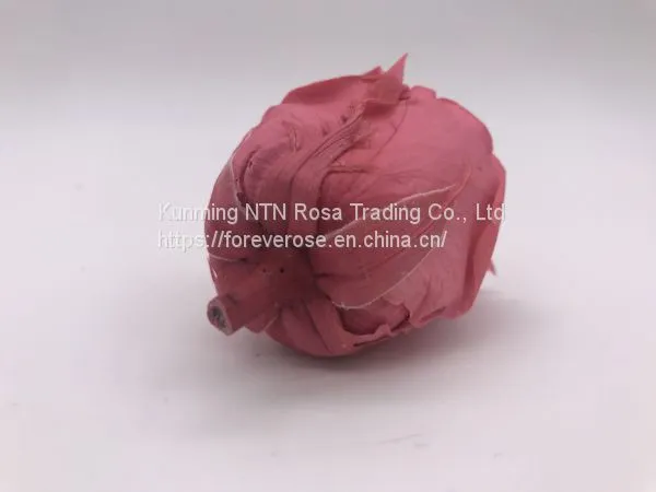 Preserved Fresh Flower Home Decoration Wedding Gifts photo-4